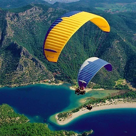 ホテル Telmessos Neva 4*