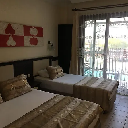 Telmessos Neva オルデニズ