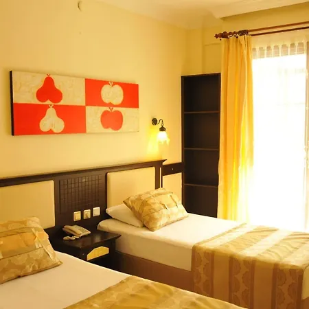 ホテル Telmessos Neva オルデニズ