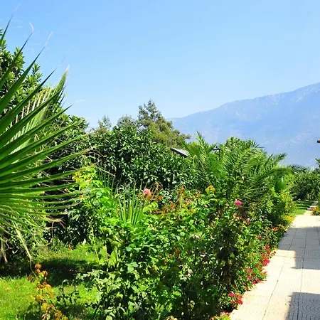 Telmessos Neva 3* Олудениз